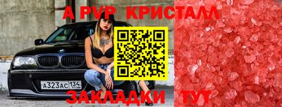 дживик Донской